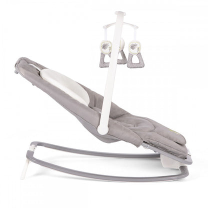 Joie Dreamer Rocker/Bouncer - Fern