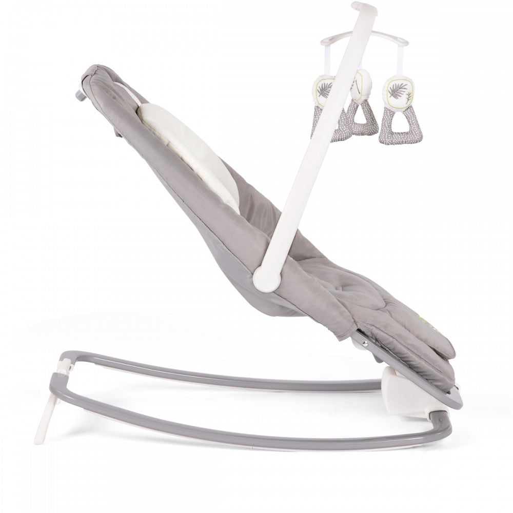 Joie Dreamer Rocker/Bouncer - Fern