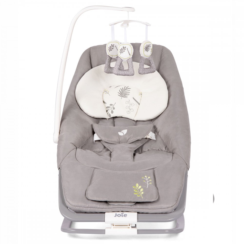 Joie Dreamer Rocker/Bouncer - Fern